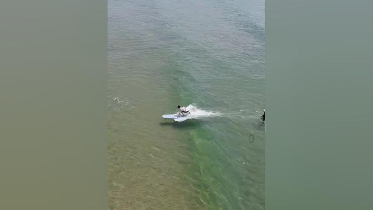 能监测健康的戒指,你会买单吗?